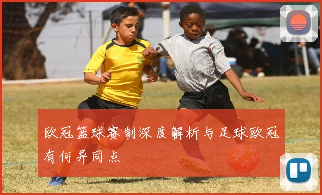 欧冠篮球赛制深度解析与足球欧冠有何异同点