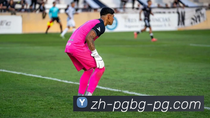 PG模拟器全站App PG模拟器全站App